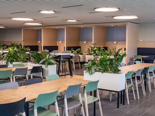 Visana Cafeteria, Bern