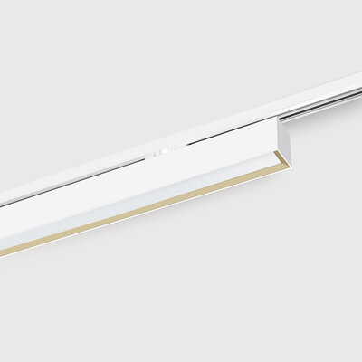 Individuelle Architekturbeleuchtung